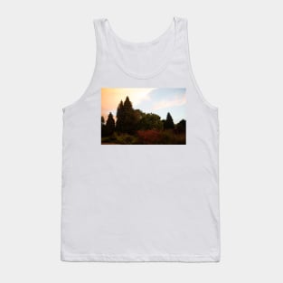 Colour in the Gloaming Tank Top